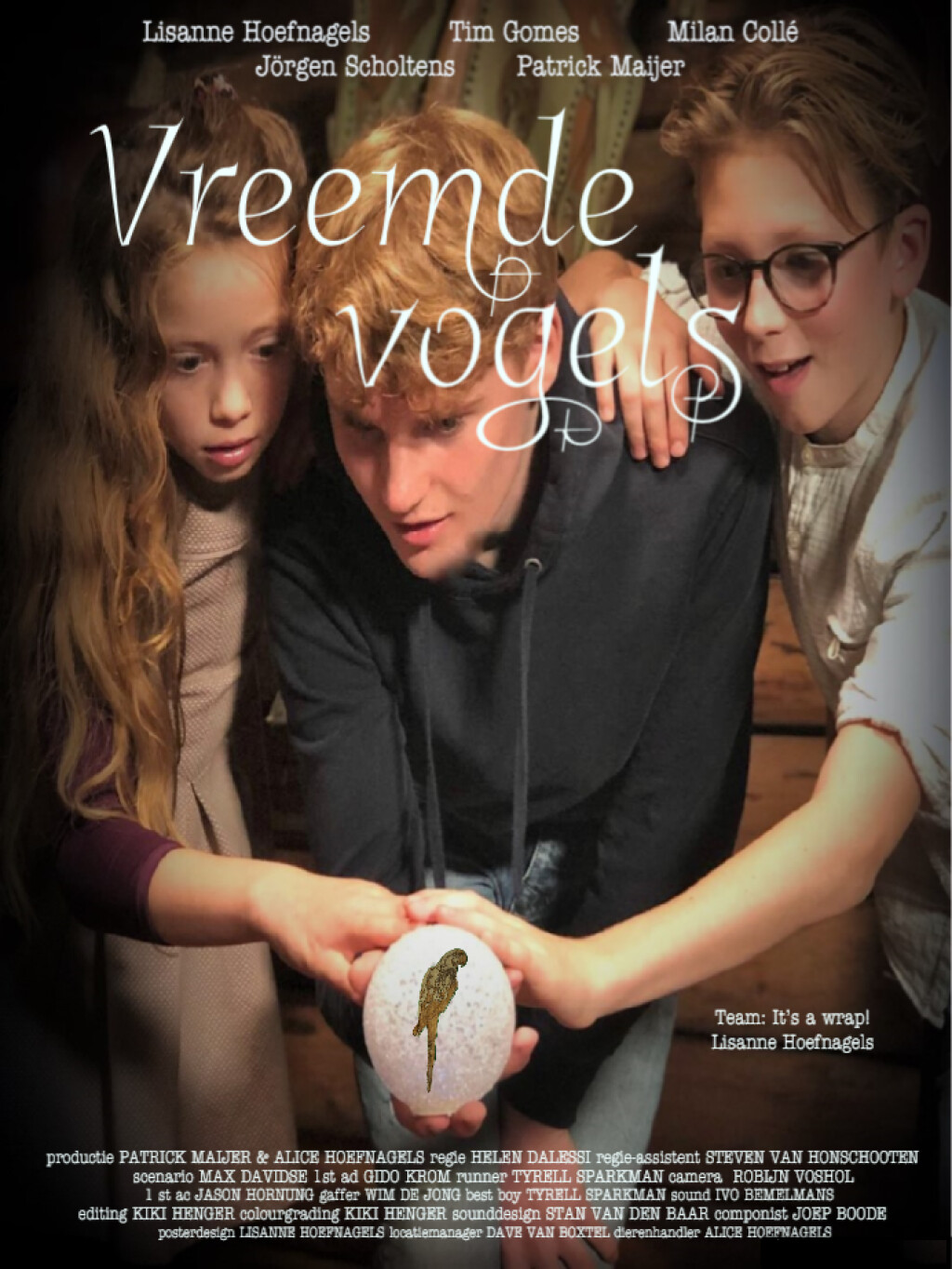 Filmposter for Vreemde Vogels 